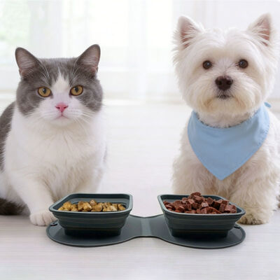 Convenient Foldable Double-layer Silicone Pet Bowl Portable Food Bowl for Cats Dogs Suitable for Outdoor Hiking Food Grade