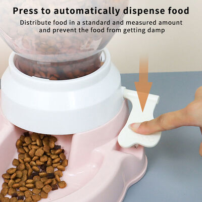 الاسم